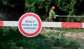Ещё в четырёх районах Беларуси запретили ходить в лес. Где?