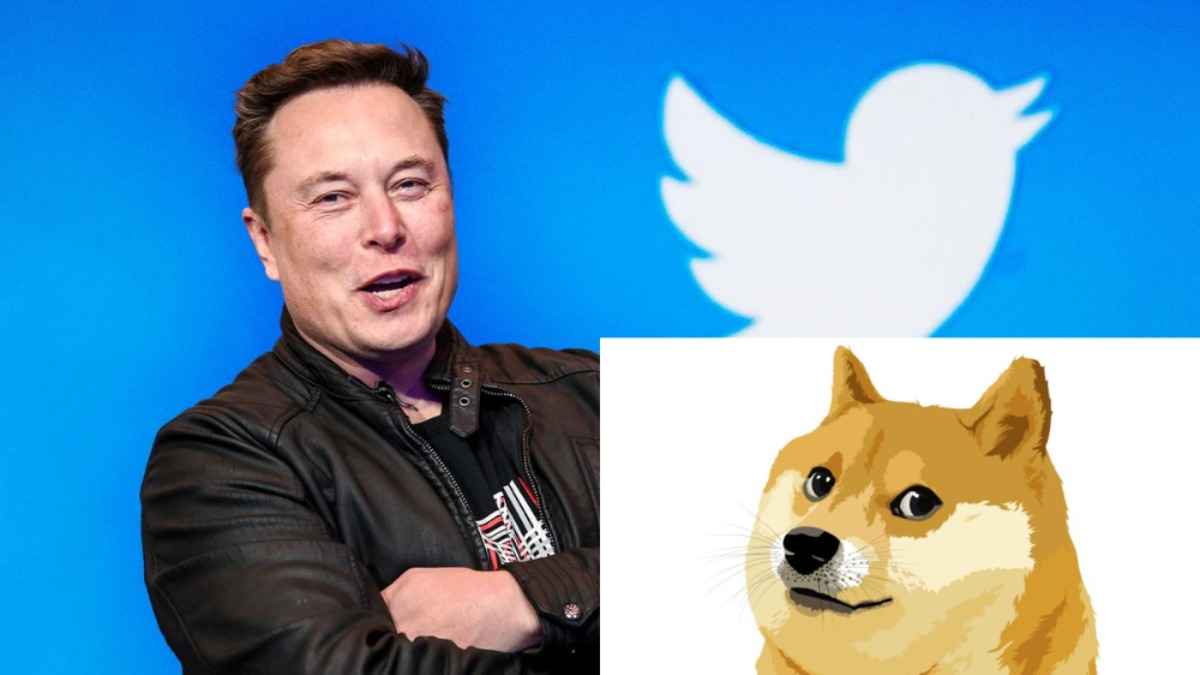 Илон Маск изменил логотип Twitter на собаку. Навсегда?