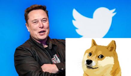 Илон Маск изменил логотип Twitter на собаку. Навсегда?