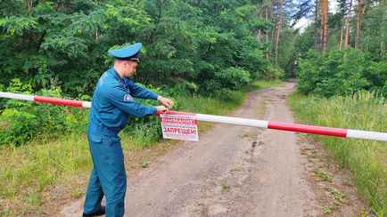 В Беларуси ограничили походы в лес в 27 районах, а в 11 — запретили. В чем разница?