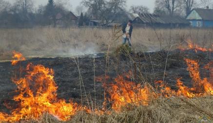 Какой штраф грозит белорусам за выжигание травы? В МЧС назвали суммы