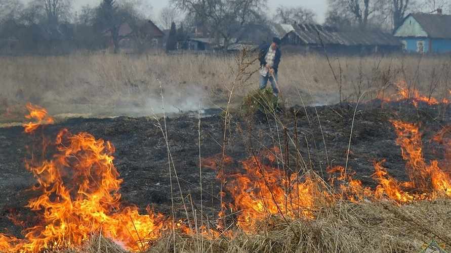 Фото иллюстрационное
