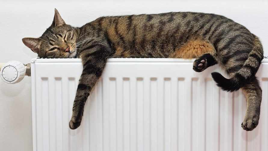 Мэрия Минска пообещала сохранить в квартирах «режим протапливания». Что это значит?