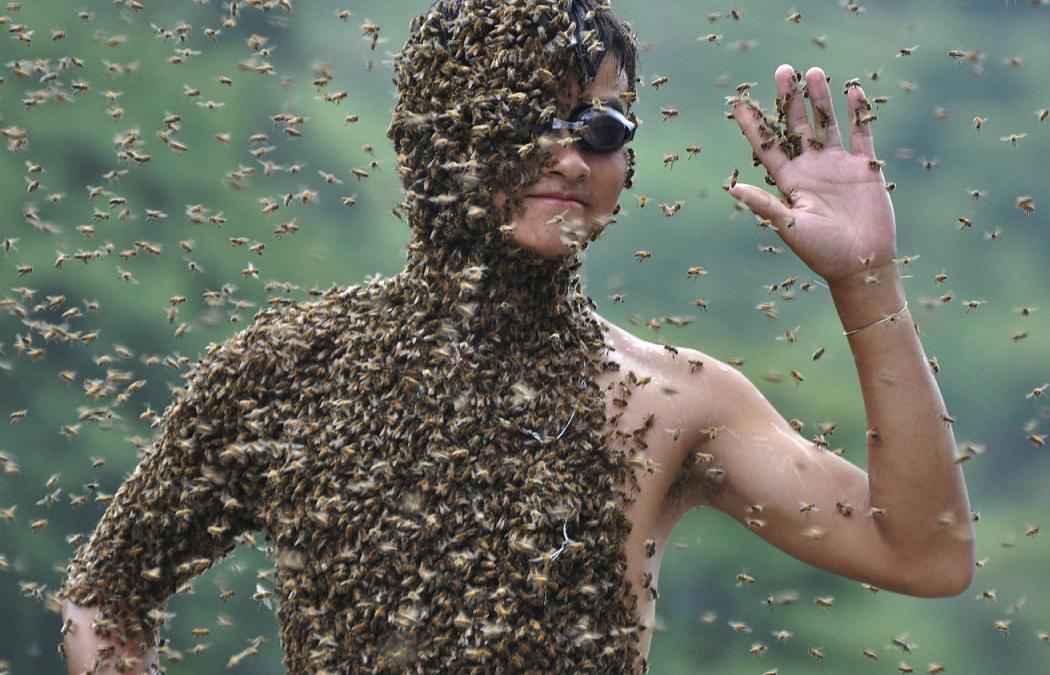 Что делать белорусу, если его укусило насекомое на природе? Зависит от «обидчика»