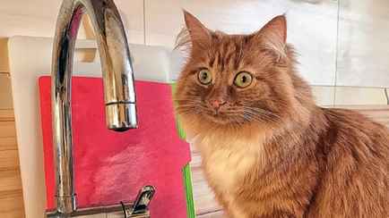 Появился график отключения горячей воды в городах Беларуси. Где уже с 10 мая?