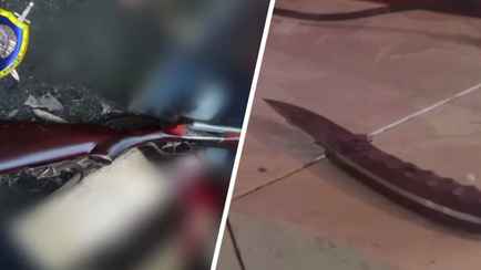 Под Гродно мужчина убил бывшую жену, ранил еще двоих и покончил с собой