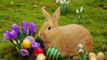 Как появился пасхальный кролик? У него очень странная история