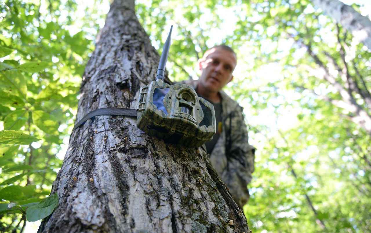 Фото иллюстрационное