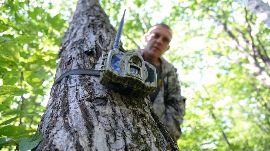 Фото иллюстрационное