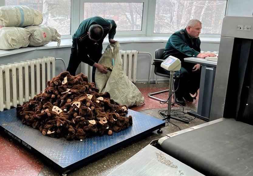 В России задержали 1200 Чебурашек-нелегалов