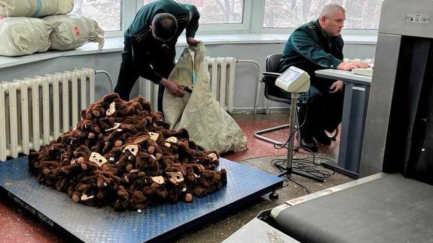 В России задержали 1200 Чебурашек-нелегалов