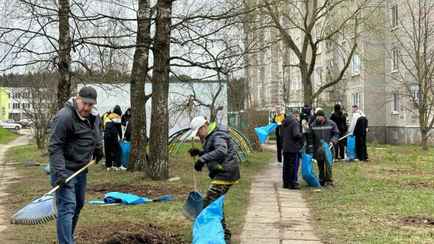 Минфин Беларуси определил, как нужно перечислять деньги за субботник в 2023 году