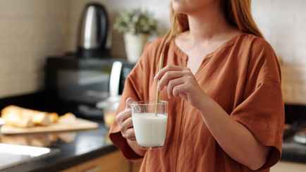 Как белорусам не заразиться клещевым энцефалитом через еду? Рассказали в Минздраве