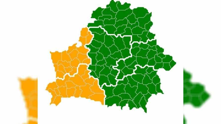 В Беларуси запретили ходить лес в двух областях