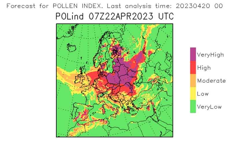 Фото: карта риска развития симптомов аллергии