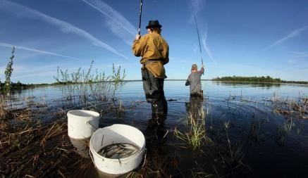 В Беларуси запретили ловить рыбу в 140 местах. На каких реках и почему?