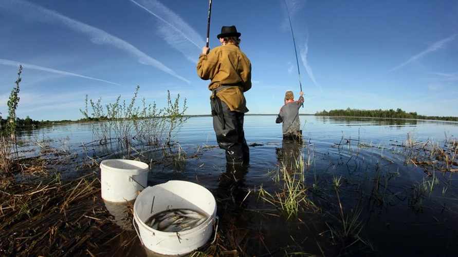 Фото иллюстрационное