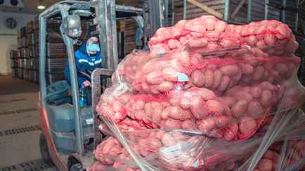 В КГК рассказали, что в стабфондах неправильно хранили овощи и их отказались брать магазины. Кого решили наказать?