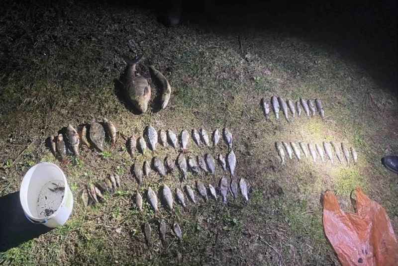 Фото: скриншот сюжета телеканала  Гродно Плюс