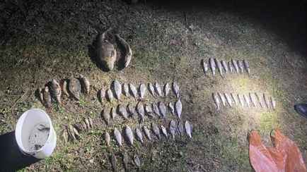 В Мостах рыбакам грозит 3 года тюрьмы. Что словили?