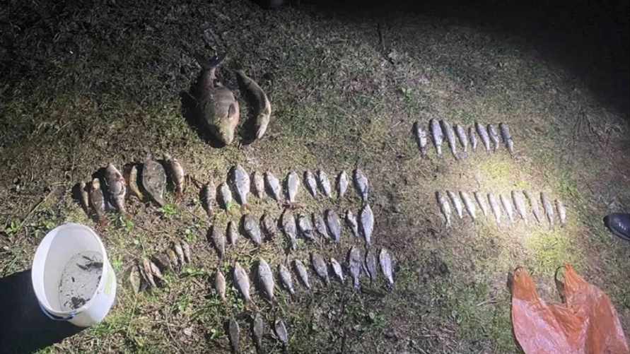 Фото: скриншот сюжета телеканала Гродно Плюс