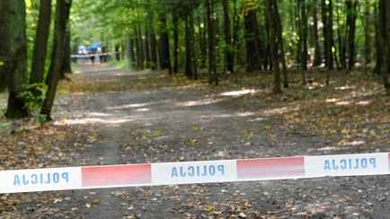 В Польше нашли ракету без боеголовки — «Есть надписи на русском»