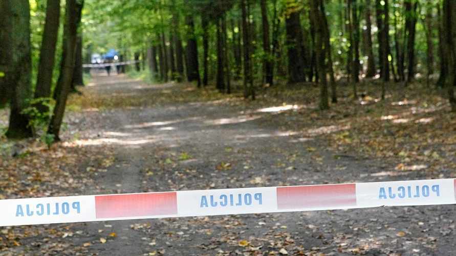 Фото иллюстрационное