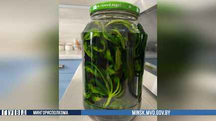 В Минске мужчина мариновал в банках марихуану. Зачем?