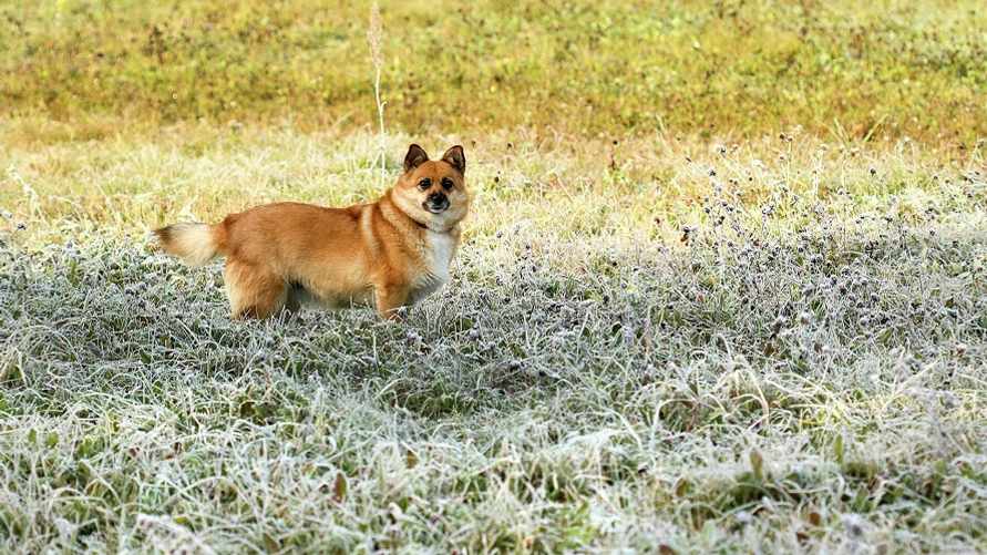 Фото: Sputnik Беларусь
