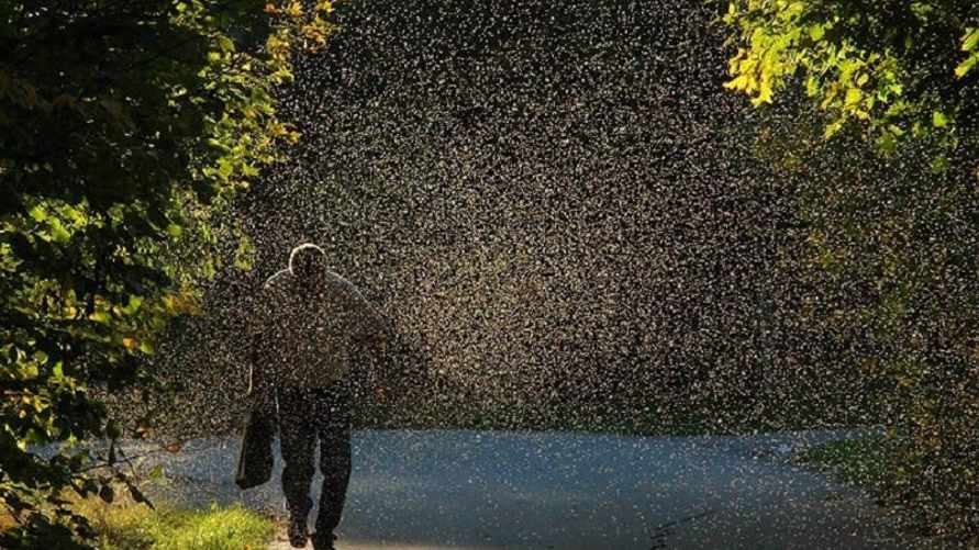 Фото иллюстрационное