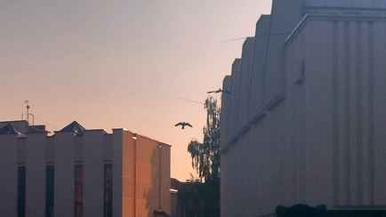 В небе над Гродно заметили странные объекты