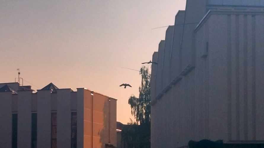 Фото: newsgrodno.by