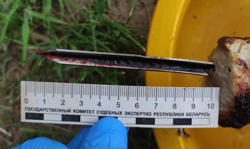 Фото: Следственный комитет