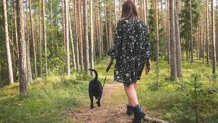 В 53 районах Беларуси ограничили посещение лесов