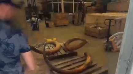 В Беларуси задержали контрабандистов с 3,5 тонн бивней мамонтов. Где взяли?