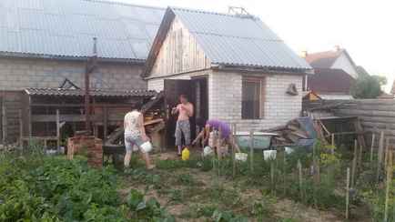 Почему огород нужно поливать после дождя? А когда лучше: вечером или утром? Эксперты рассказали