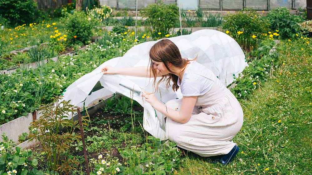 Фото иллюстрационное