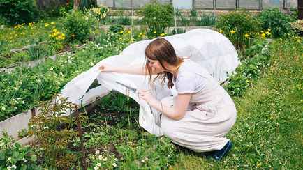 Лето в Беларуси начнётся с заморозков? Синоптики рассказали, где ждать до -2°С
