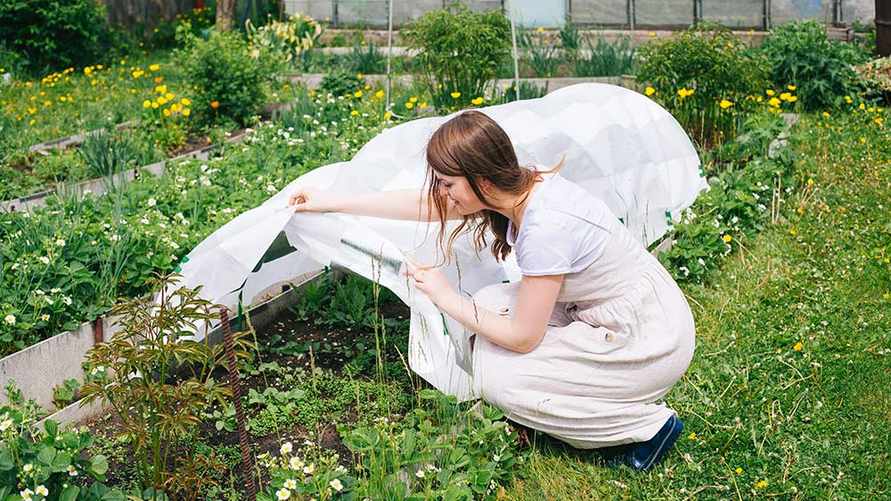 Фото иллюстрационное