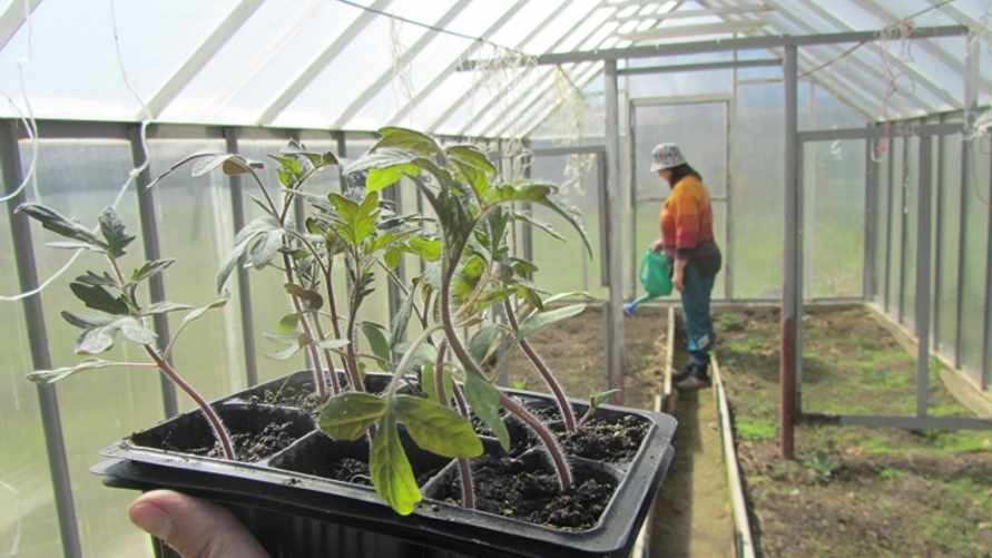 Фото: oblgazeta.ru