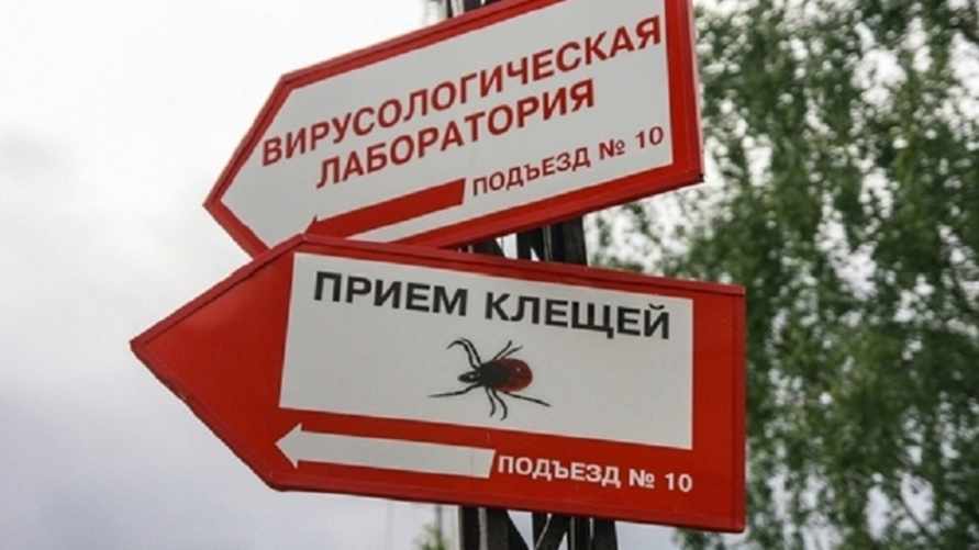 Фото иллюстрационное