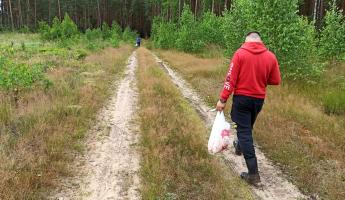 Почти по всей Беларуси запретили посещать леса. Но есть исключения