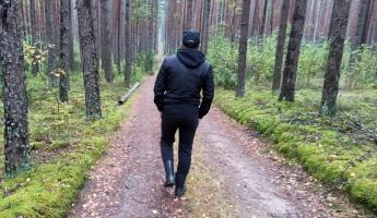 По всей Беларуси ввели запреты и ограничения на походы в лес. Сколько штраф?
