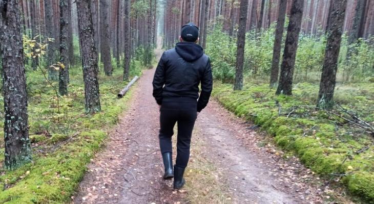 По всей Беларуси ввели запреты и ограничения на походы в лес. Сколько штраф?