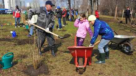 В Минтруда предложили белорусским школьникам «тяжёлый, но интересный труд» летом. Где и какой?