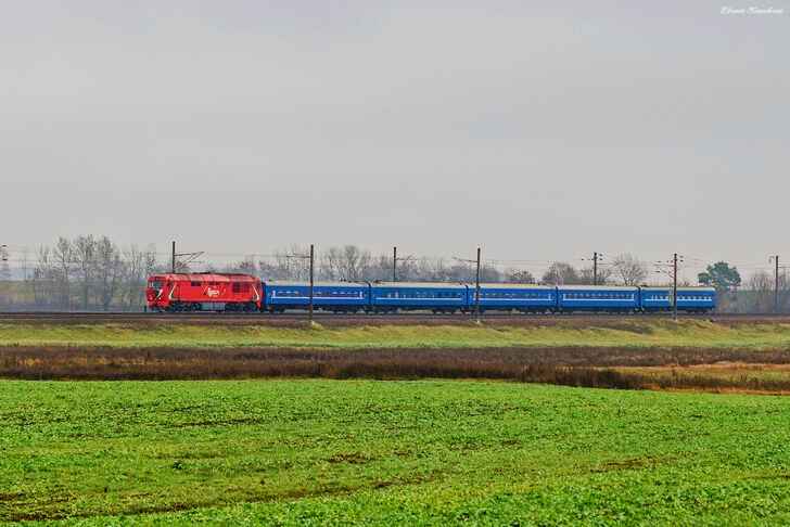 Идут на курорты. В БелЖД рассказали, будут ли отменять поезда через Брянскую область после подрыва