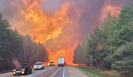 В России из-за гигантских лесных пожаров в регионах объявили ЧП. Люди сгорают заживо