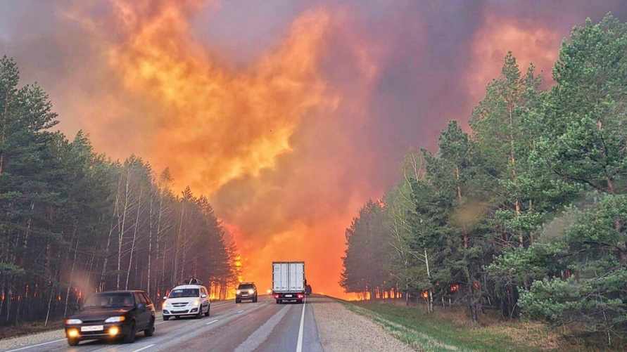 В России из-за гигантских лесных пожаров в регионах объявили ЧП. Люди сгорают заживо