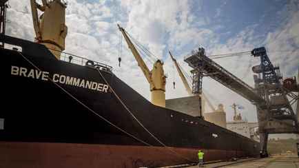 «Совершенно неправильно» — США и Великобритания призвали Россию отказаться от шантажа мира голодом