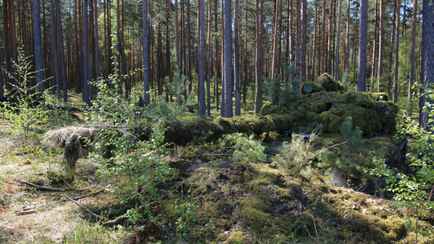 В Минобороны Беларуси показали, как замаскировали танки в лесах на границе